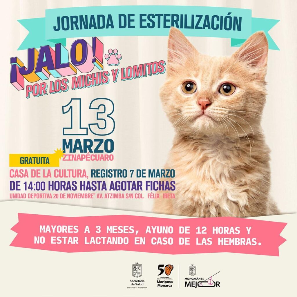 Esterilización gratuita de animales en Zinapécuaro