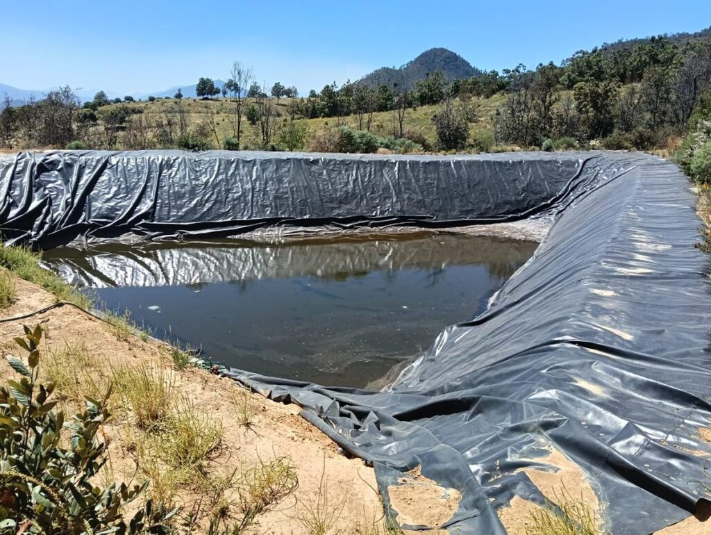 FGE hace cateo en predio relacionado en tala y cultivo ilegal de aguacate en Zacapu