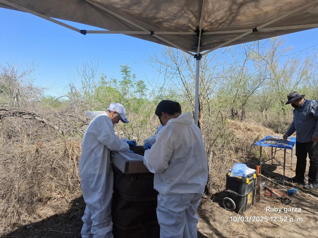 Hallan sitio de exterminio en Tamaulipas con 14 concentraciones de restos óseos-1