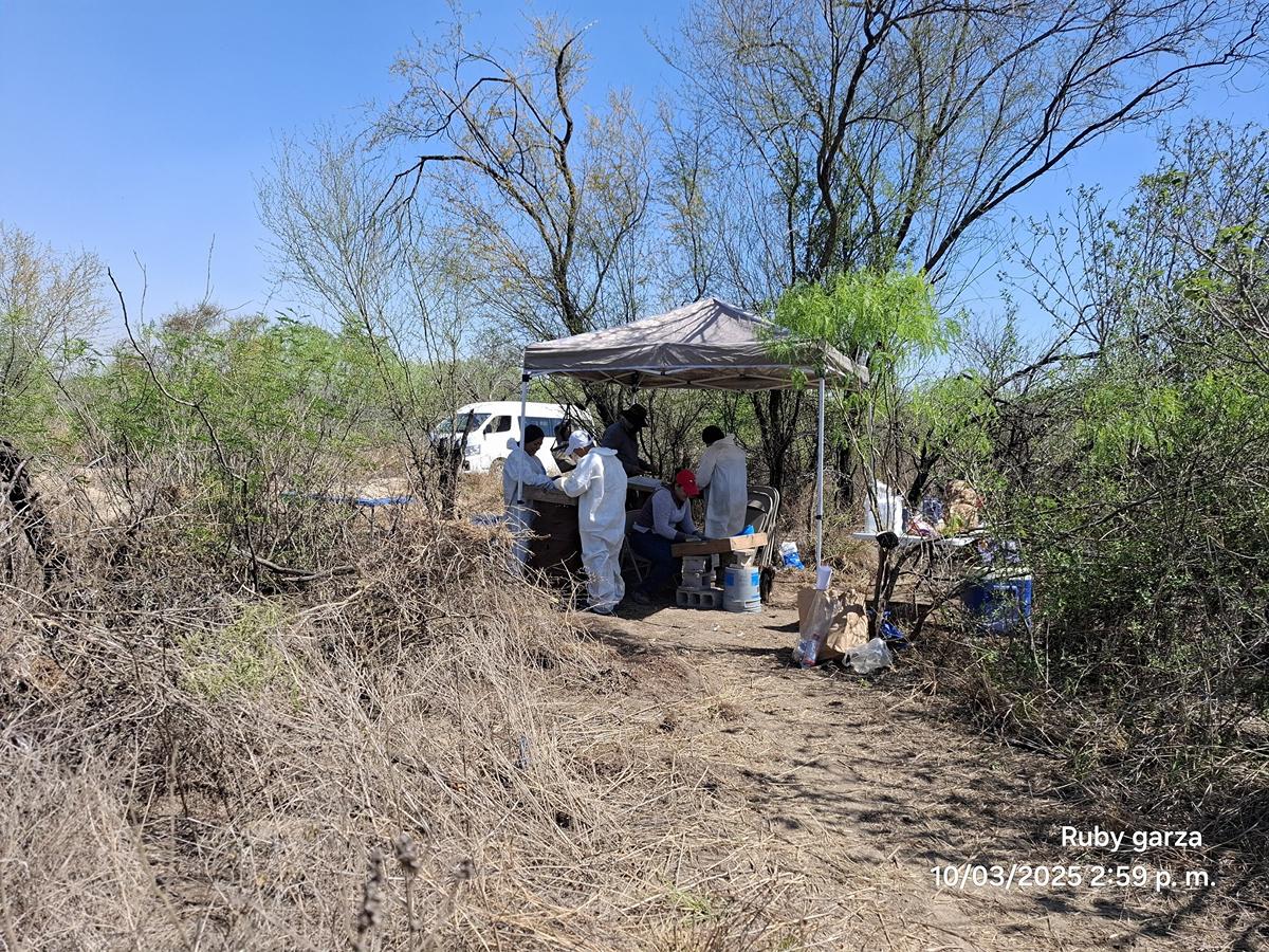 Hallan sitio de exterminio en Tamaulipas con 14 concentraciones de restos óseos