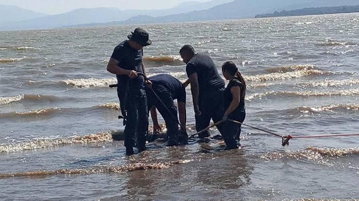 huachicoleo de agua en el Lago de Pátzcuaro llegó hasta a los 374 mil litros en ocho horas