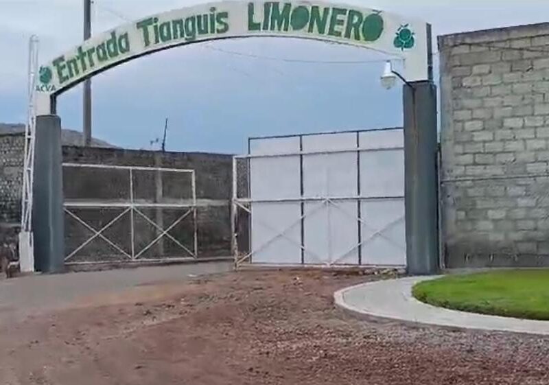 Injusto que se señale a limoneros por no denunciar señaló productor de Michoacán