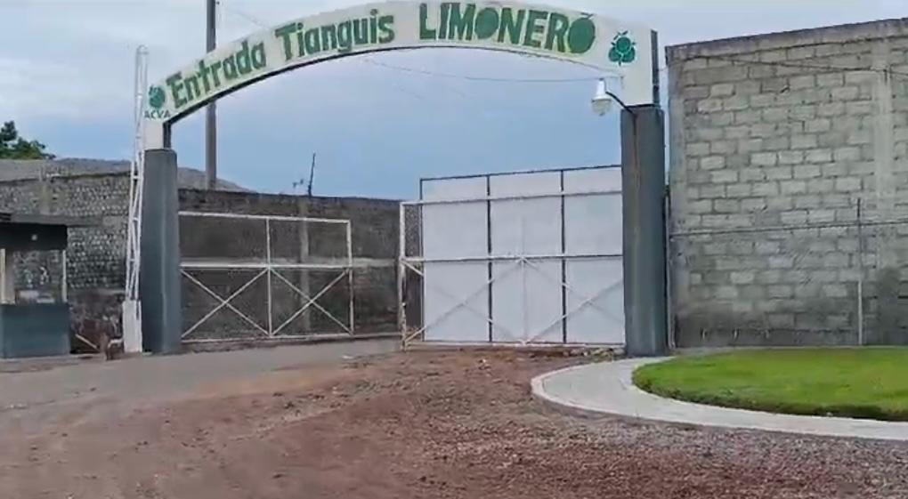 Injusto que se señale a limoneros por no denunciar señaló productor de Michoacán