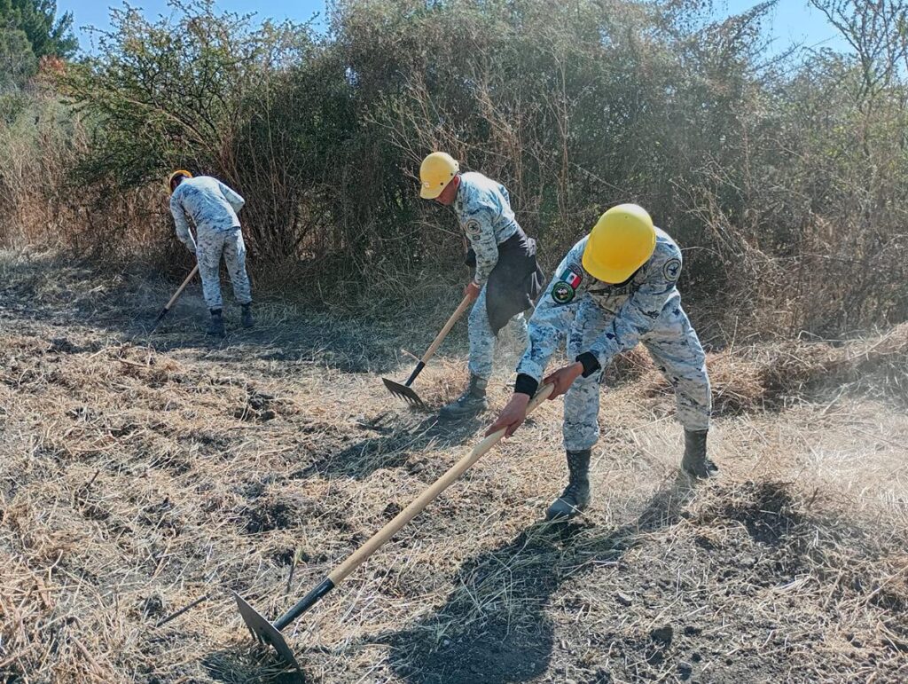 México registra 65 incendios forestales activos en 18 estados-1