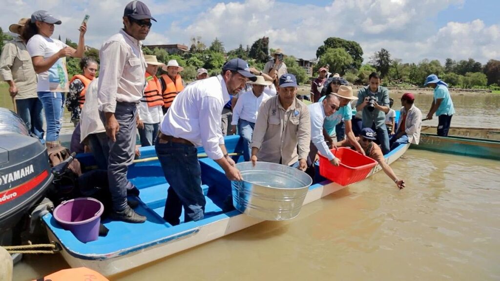 Pátzcuaro: proceso para lograr denominación de origen del pez blanco