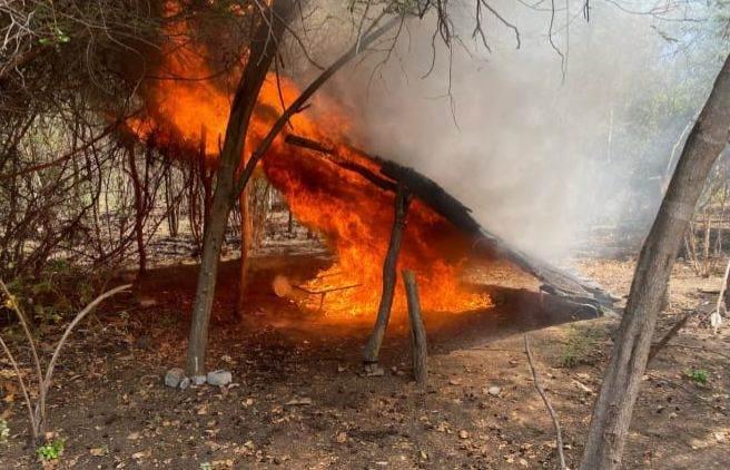 SSP y Defensa localizan campamento clandestino en Parácuaro-3